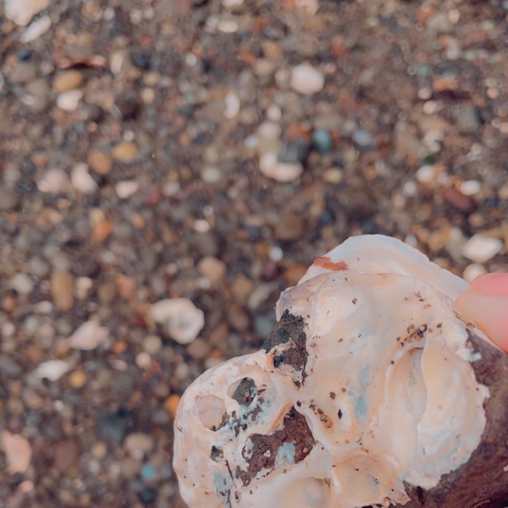 Meet your Posher, Amelia